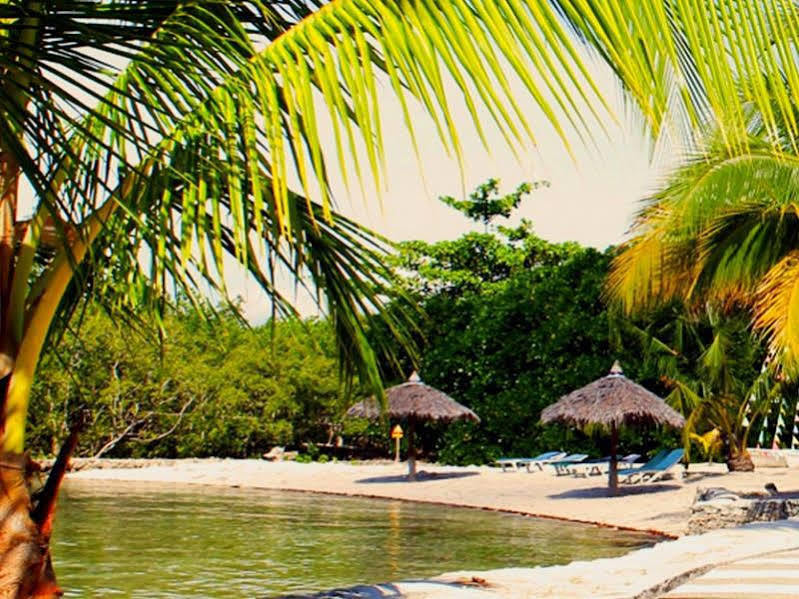 Whispering Palms Island Resort Bacolod Eksteriør billede
