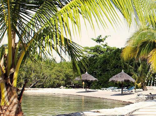 Whispering Palms Island Resort Bacolod Eksteriør billede